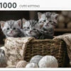 Cute Kittens (1000) -Spel Speelgoed Winkel 8720299081659 web