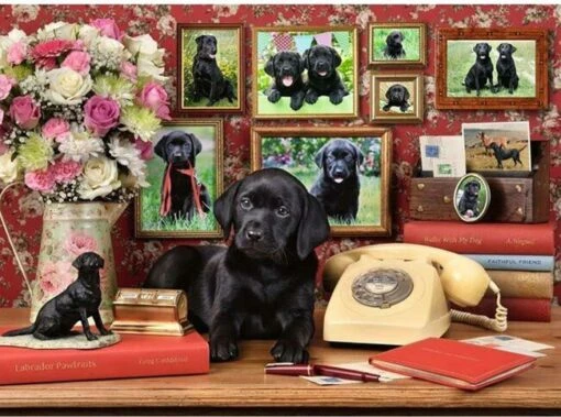 Mijn Trouwe Vrienden (500) -Spel Speelgoed Winkel afbeelding puzzel zwarte hond