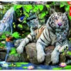 Witte Bengaalse Tijgers (1000) -Spel Speelgoed Winkel bengal white tigers web