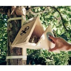 Terra Kids - Bouwpakket Nestkastje -Spel Speelgoed Winkel bouwpakket nestkastje 4