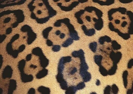 Challenge Puzzle - Animal Print (1000) -Spel Speelgoed Winkel challenge puzzle 1000