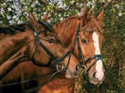 Friends Forever (275) Easy Handling -Spel Speelgoed Winkel cobble hill 275 friends forever