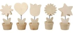 Memoclips Triplex - 10 Stuks -Spel Speelgoed Winkel cre25102 1