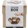Explosion Box (bruin) -Spel Speelgoed Winkel explotion box 2