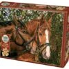 Friends Forever (275) Easy Handling -Spel Speelgoed Winkel grote stukken puzzel volwassenen thema paarden