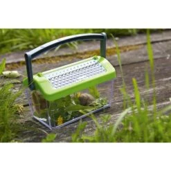 Terra Kids Insectendoos -Spel Speelgoed Winkel insectendoos 3