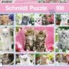Kittens (100) -Spel Speelgoed Winkel kittens puzzel 100