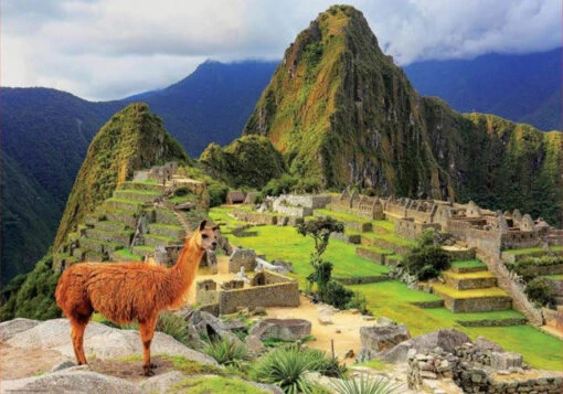 Machu Picchu Peru (1000) -Spel Speelgoed Winkel legpuzzel over peru web