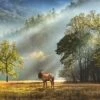 Morning Salute (1000) -Spel Speelgoed Winkel morning salute heye