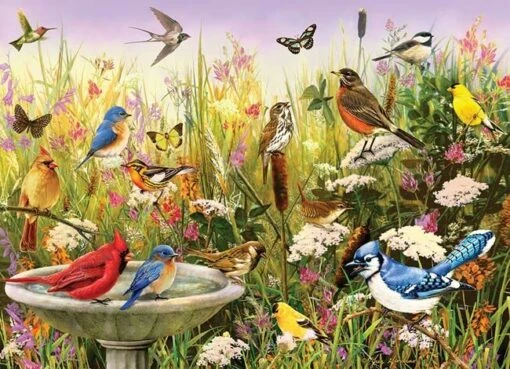 Feathered Friends (1000) -Spel Speelgoed Winkel puzzel vogels 1000 stukjes