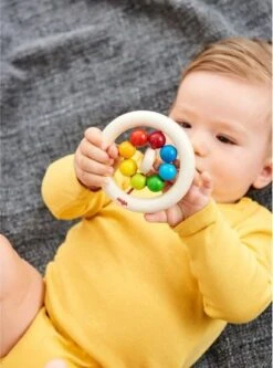 Rammelaar Regenboogknikkers -Spel Speelgoed Winkel rammelaar haba web