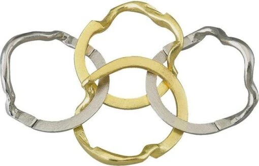 Huzzle Cast Ring **** -Spel Speelgoed Winkel ring puzzle open