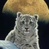 Schim Schimmel - Moon Leopard (1500) -Spel Speelgoed Winkel schim schimmel moon leopard puzzle