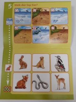 Bambino Loco Boekje: In Het Bos (3-5 Jaar) -Spel Speelgoed Winkel sporen dieren