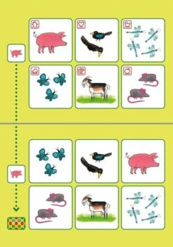 Bambino Loco Kikker Ik Leer Rekenen (3-5 Jaar) -Spel Speelgoed Winkel voorbeeld rekenspelletje bambino loco